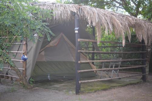 Φωτογραφία από το άλμπουμ του Sibaya Camp & Backpackers σε Mbazwana