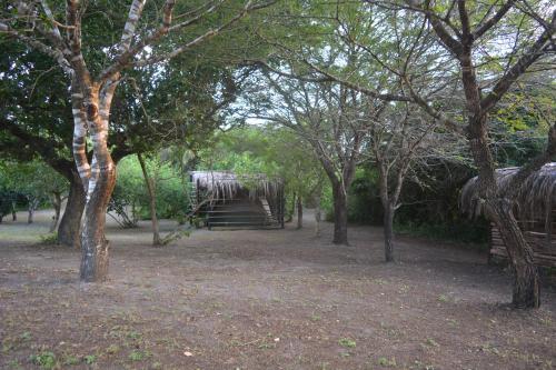 Κήπος έξω από το Sibaya Camp & Backpackers