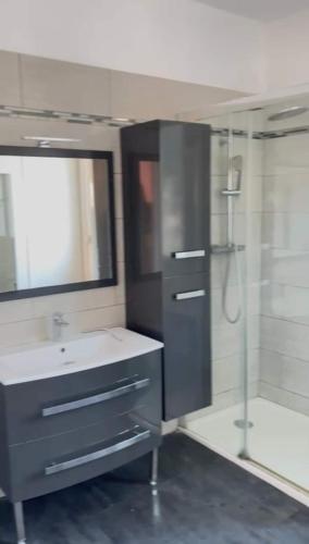 une salle de bain avec un lavabo, une douche et un miroir dans l'établissement Appartement vu sur mer, à La Seyne-sur-Mer