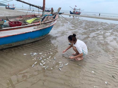 a woman on a beach with fish in the water at Baan Nokkamin Seaside in Hua Hin - บ้านนกขมิ้นซีไซด์ หัวหิน in Hua Hin