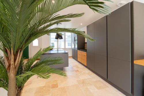 un palmier dans le couloir d'une maison dans l'établissement Propriété 8 suites avec jardin, à Challans