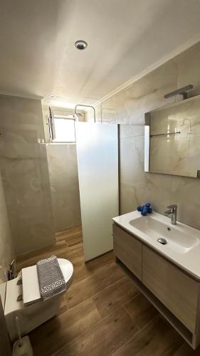 a bathroom with a sink and a toilet and a mirror at Golden sand apartment A in Hersonissos