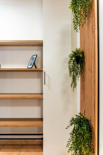 a room with wooden shelves with plants on them at 1 Chambre 9 m2 en colocation avec 15 m2 partagés in Saint-Denis