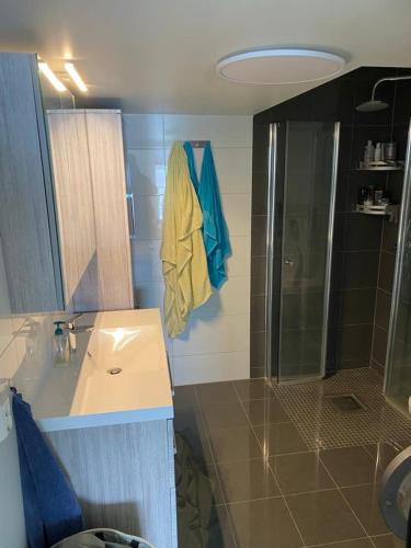 a bathroom with a shower and a sink and a shower at seafront villa in Dragland