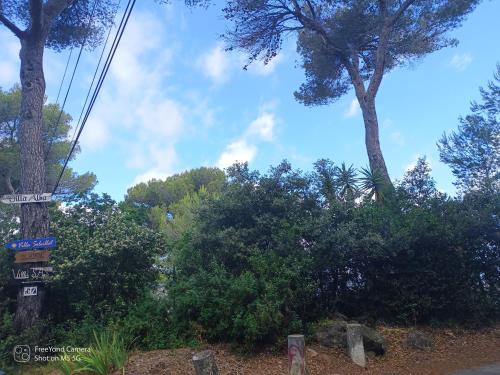 a group of trees and a blue sky with clouds at Chalet at Villa Don Quijote Nice in Nice