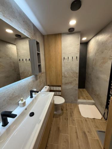 a bathroom with a sink and a toilet at Apartmán Magura Donovaly in Donovaly