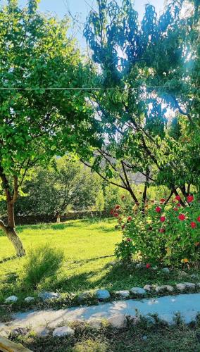 Κήπος έξω από το Sentyab Obi chashma guest house