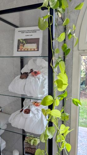 two shelves with cakes and a plant at Acqua Resorts in Sirmione