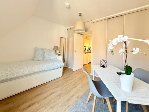 Cosy studio Grand Rue à Strasbourg