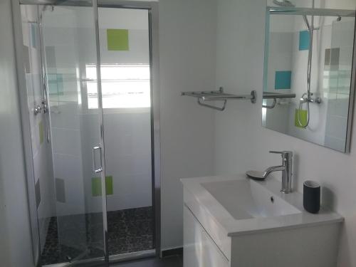 La salle de bains est pourvue d'un lavabo et d'une douche en verre. dans l'établissement Les Canneliers, à Saint-Leu