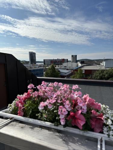 a planter with pink flowers on top of a roof at Strand City Hotel in Örnsköldsvik