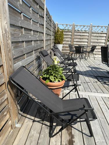 a patio with chairs and a table with a potted plant at Strand City Hotel in Örnsköldsvik