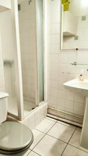 une salle de bain avec une douche, des toilettes et un lavabo dans l'établissement Argeles sur Mer Charmant T2 a 150m de la plage, à Argelès-sur-Mer