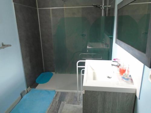 une salle de bain avec un lavabo et une douche dans l'établissement Villa LA FOUGASSE avec piscine, à Castelnaud-la-Chapelle