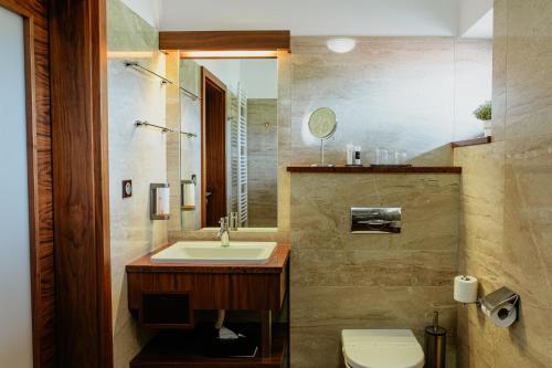 a bathroom with a sink and a toilet at Hotel Golf Resort Olomouc in Dolany