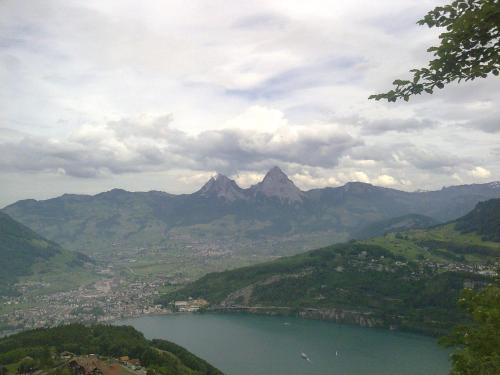 a view of a lake with mountains in the background at Hotel Montana in Seelisberg