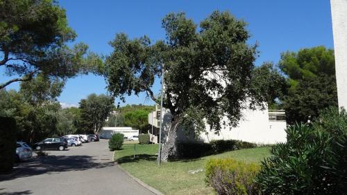 une rue avec des voitures garées dans un parking dans l'établissement Residence Pierre et Vacances de la Corniche d'or, à Saint-Raphaël