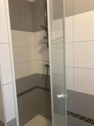 une douche avec une porte vitrée dans une salle de bain dans l'établissement Studio front de mer 8eme etage, à Le Touquet-Paris-Plage