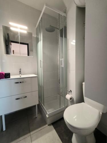 une salle de bain avec une douche, des toilettes et un lavabo dans l'établissement Joli Studio lumineux Centre ville Parking gratuit, à Pau