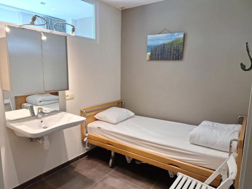 Gulta vai gultas numurā naktsmītnē Equus