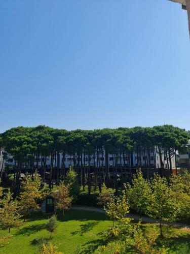 Leta's Apartments, beach vacation rentals