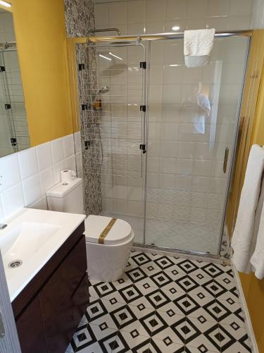 a bathroom with a shower and a toilet and a sink at Apartamentos AL-QAZERES LUXURY La Concepción in Cáceres