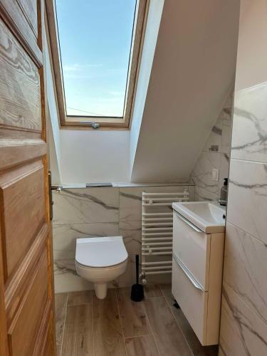 a bathroom with a toilet and a window at Domek Sosenka in Czarnówka
