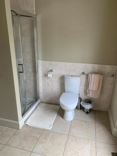 a bathroom with a toilet and a shower at Cuckoos Corner in Teach Munna