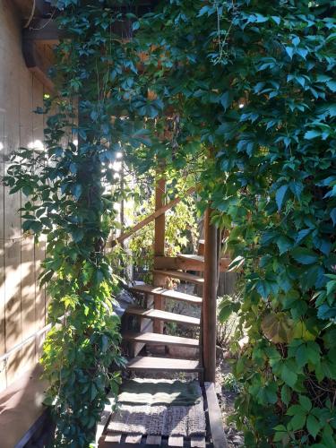 a stairway leading up to a fence with a tree at Biebrza noclegi Dom pod dobrą ręką in Chojnowo