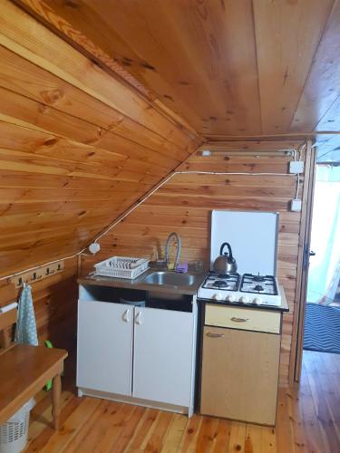 a kitchen with a stove and a sink in a cabin at Biebrza noclegi Dom pod dobrą ręką in Chojnowo