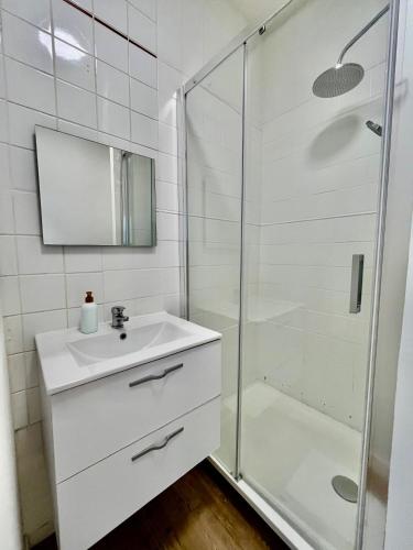 une salle de bain avec un lavabo et une douche dans l'établissement Appartement T2 Place Carnot -DABNB, à Limoges