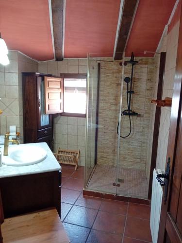 a bathroom with a shower and a sink at Casa Rural El PARADOR in Carcelén