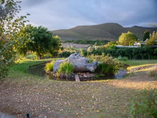 a garden with a large rock and a river at Croxley Farm in Robertson