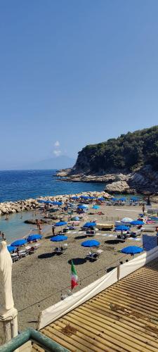 Φυσικό τοπίο κοντά σε αυτός ο ξενώνας