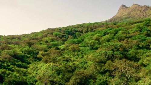 an overhead view of a green hill with trees at Chebera Elephant Paw Lodge in Bokdē