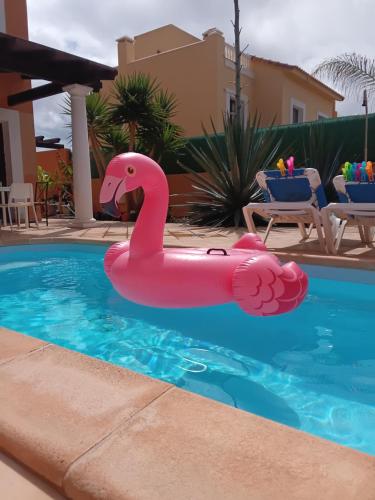 Afbeelding uit fotogalerij van A casa di Ilaria in Corralejo