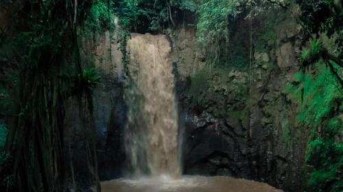 a waterfall in the middle of a forest at Chebera Elephant Paw Lodge in Bokdē