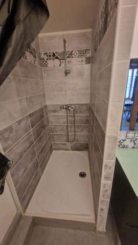 une salle de bain avec une douche avec pommeau de douche dans l'établissement Appartement T3 proche centre-ville NARBONNE, à Narbonne
