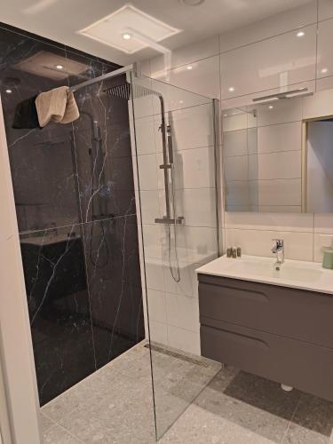 a bathroom with a glass shower and a sink at Hotel Saint Vincent in Poeldijk