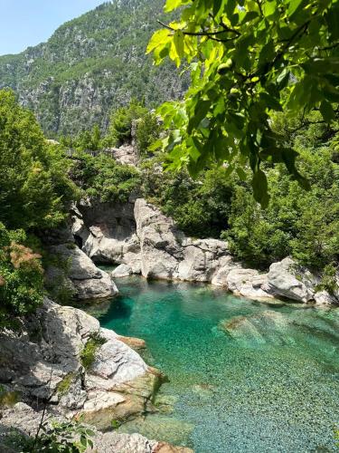 a pool of blue water in a river with rocks at Bujtina Ziçi in Theth