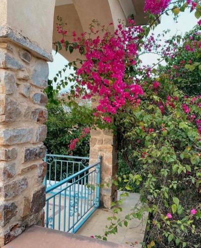 a stone arch with pink flowers and a blue fence at The Kipling Lodge- Nature Kalp in Khilchipur