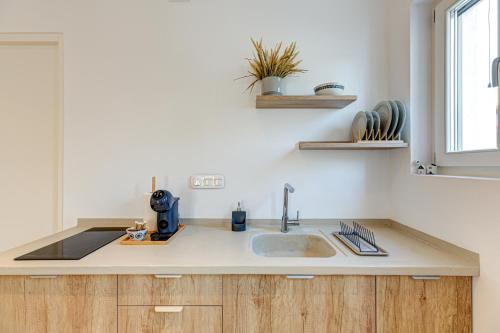 Silver Apartment Petra