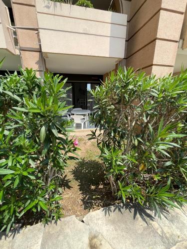 Appartement Cannes, Piscine - Terrasse, Jardin Privatif - 4 Personnes