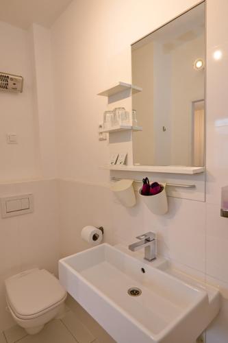 a bathroom with a sink and a toilet and a mirror at Wellness Vila Bohemia in Prague