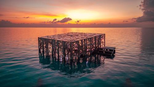 a dock in the water with a sunset in the background at Sirru Fen Fushi Private Lagoon Resort Maldives in Shaviyani Atoll