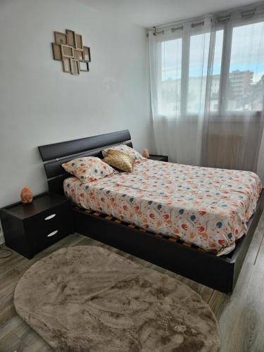 une chambre avec un lit, un tapis et une fenêtre dans l'établissement Appartement t3, à Saint-Étienne