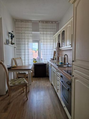 Η κουζίνα ή μικρή κουζίνα στο Apartman Pasha