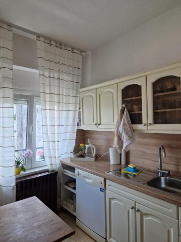 Η κουζίνα ή μικρή κουζίνα στο Apartman Pasha
