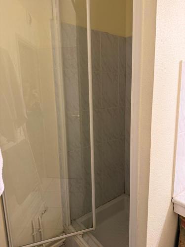 une douche avec une porte vitrée dans une salle de bain dans l'établissement Primavera, à Luz-Saint-Sauveur