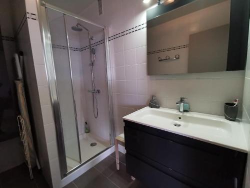 une salle de bain avec un lavabo et une douche dans l'établissement La Plume Vue Mer Parking Privé, à Concarneau